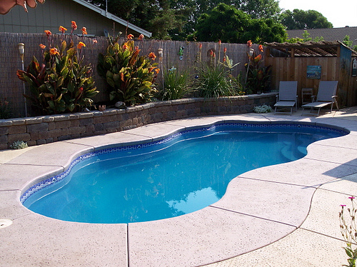 Can You Convert a Vinyl Pool To Fiberglass? 2 Fiberglass pool in Toronto backyrad